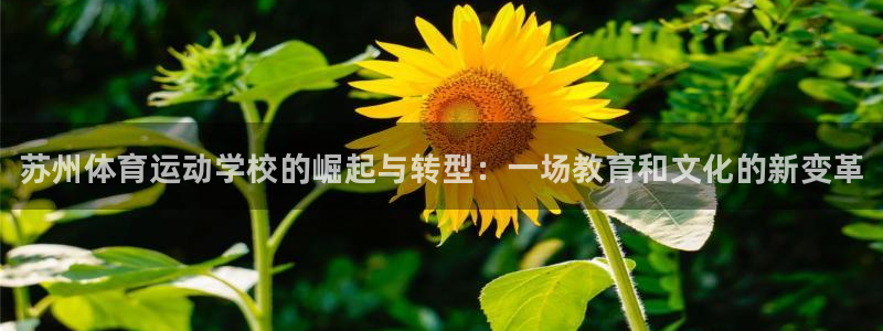 注册公海赌赌船官方正版app：苏州体育运动学校的崛起