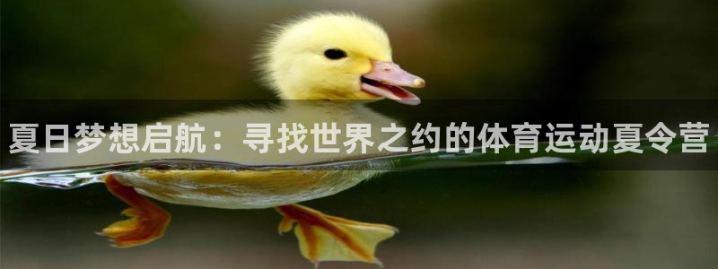 公海赌赌船官网下载招商电话是多少啊：夏日梦想启航：寻