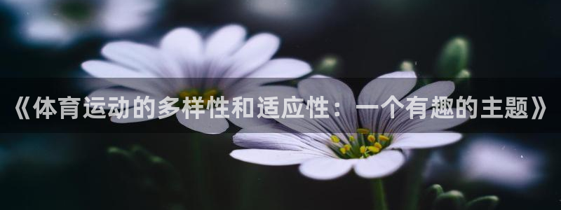 公海赌赌船官方正版app娱乐首页网站大全：《体育运动的多样性