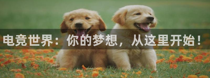 公海赌赌船官方正版app娱乐平台：电竞世界：你的梦想