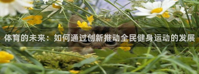 公海赌赌船官网下载招商电话地址：体育的未来：如何通过