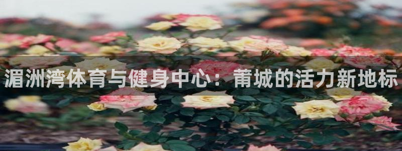 公海赌赌船官网下载招商电话号码：湄洲湾体育与健身中心：莆城的