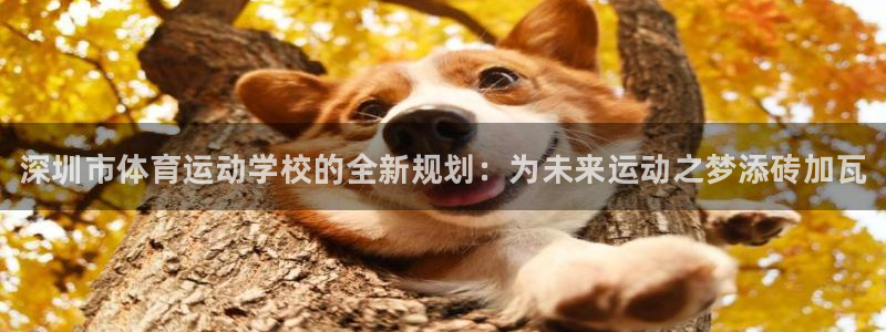 公海赌赌船官方正版app娱乐是那个系列的台子：深圳市体育运动