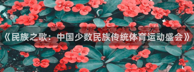 公海赌赌船官网下载平台假的吗是真的吗：《民族之歌：中国少数民