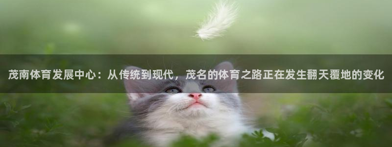 公海赌赌船官方正版app官网：茂南体育发展中心：从传统到现代