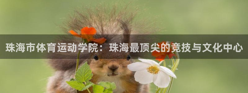 公海赌赌船官方正版app官网：珠海市体育运动学院：珠