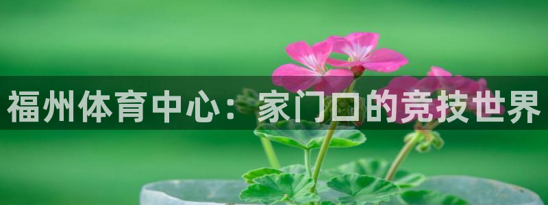 公海赌赌船官方正版app娱乐平台