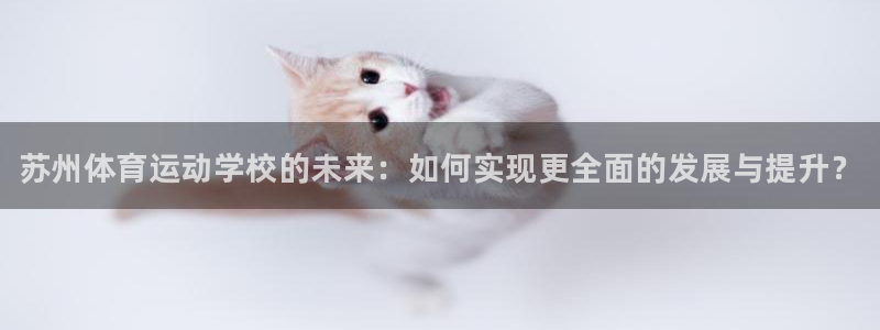 公海赌赌船官方正版app集团E.ON：苏州体育运动学