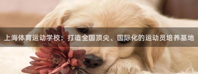 公海赌赌船官方正版app新能源：上海体育运动学校：打