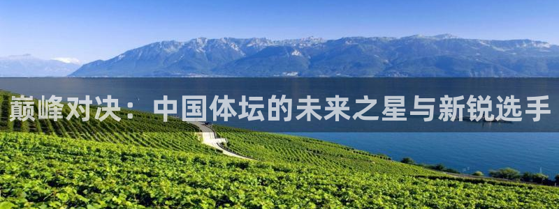 公海赌赌船官方正版app新能源：巅峰对决：中国体坛的