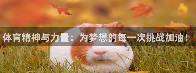 公海赌赌船官网下载平台注册流程图：体育精神与力量：为梦想的每