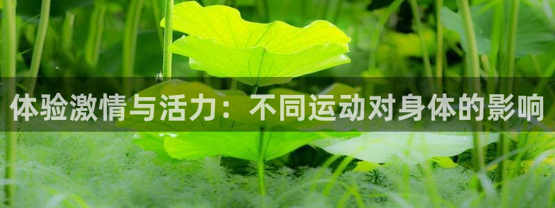 公海赌赌船官方正版app娱乐：体验激情与活力：不同运动对身体