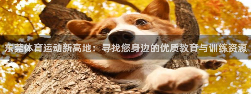 公海赌赌船官网下载注册：东莞体育运动新高地：寻找您身