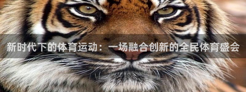 公海赌赌船官网下载招商电话地址查询：新时代下的体育运动：一场