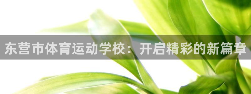 公海赌赌船官方正版app神州