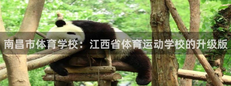 海南公海赌赌船官网下载发展怎么样：南昌市体育学校：江西省体育