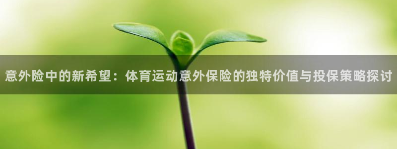 公海赌赌船官方正版app神州：意外险中的新希望：体育