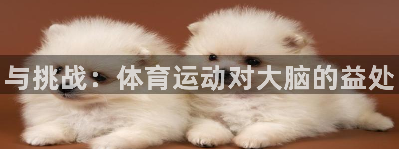 公海赌赌船官网下载注册:与挑战:体育运动对大脑的益处