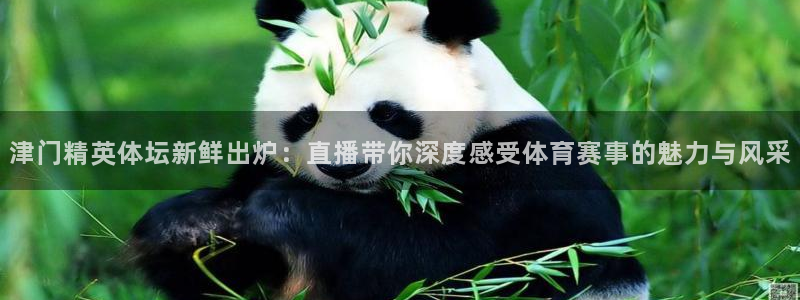 919体育nba直播安卓版：津门精英体坛新鲜出炉：直播带你深度感受体育赛事的魅力与风采