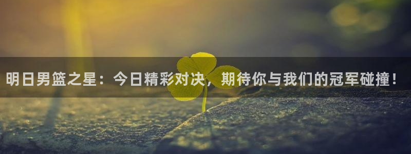 919看足球直播：明日男篮之星：今日精彩对决，期待你与我们的冠军碰撞！