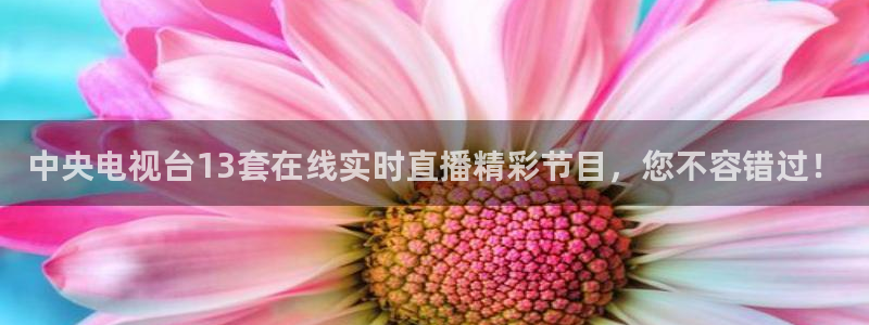 01zbtv直播体育919：中央电视台13套在线实时直播精彩节目，您不容错过！