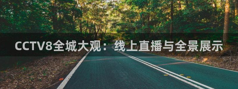 919nba直播篮球比赛：CCTV8全城大观：线上直播与全景展示